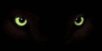 animated cats eyes